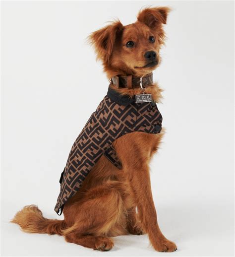 fendi for dogs|Fendi dog accessories.